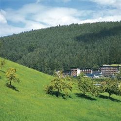 Hotel Hotel Traube Tonbach