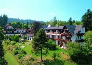 Hotel Hotel Grüner Wald