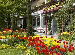 Hotel Kurhotel Markushof